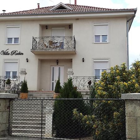 Villa Rubin Panzio Hajdúszoboszló Extérieur photo