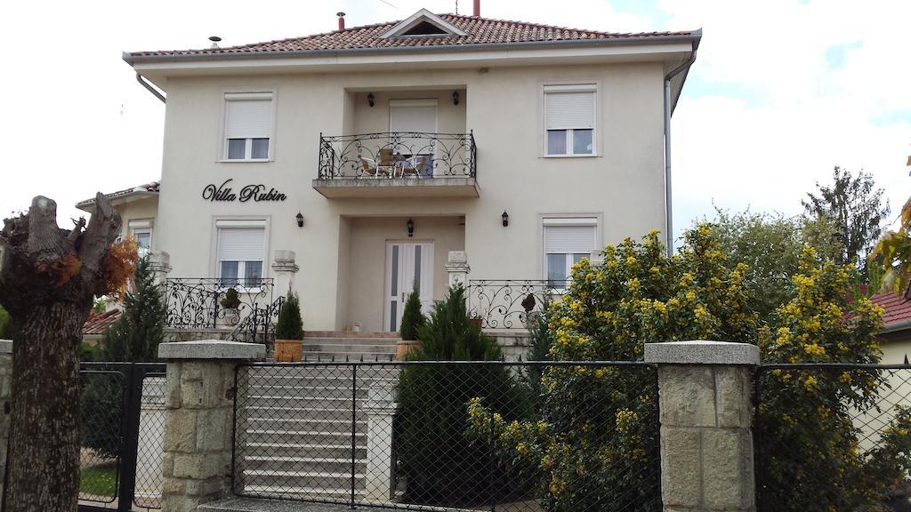 Villa Rubin Panzio Hajdúszoboszló Extérieur photo